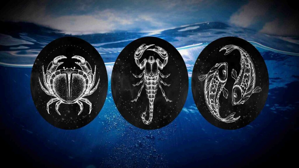 What Zodiac Signs Are Compatible With Scorpio?