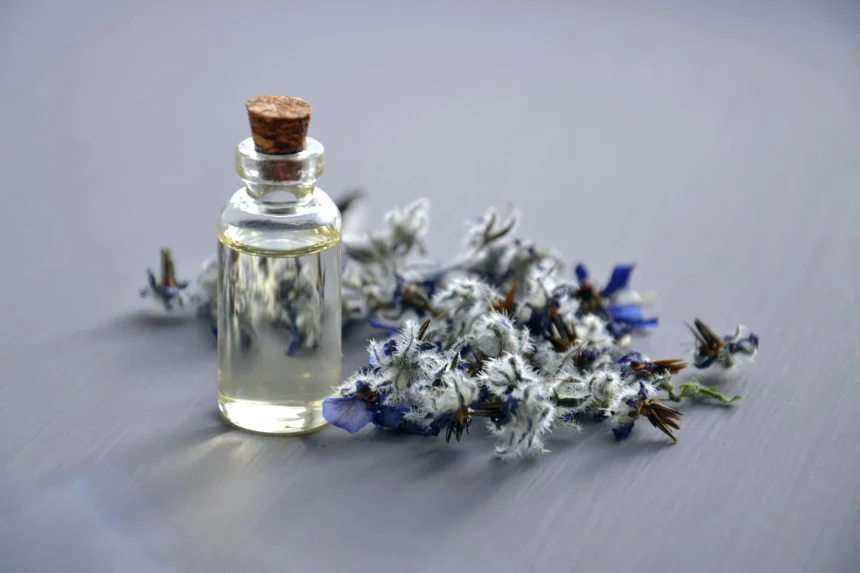 What Details codigo de barras perfume Hold About Fragrances?